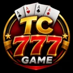 tc 777 Game
