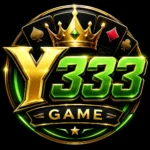 Y333 Game
